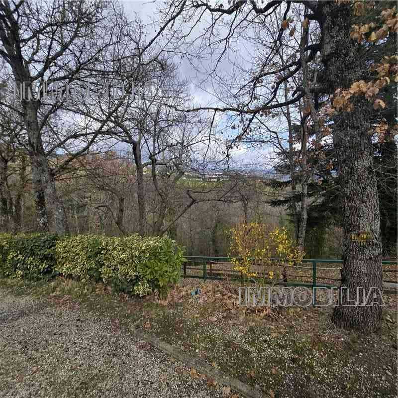  - foto 30