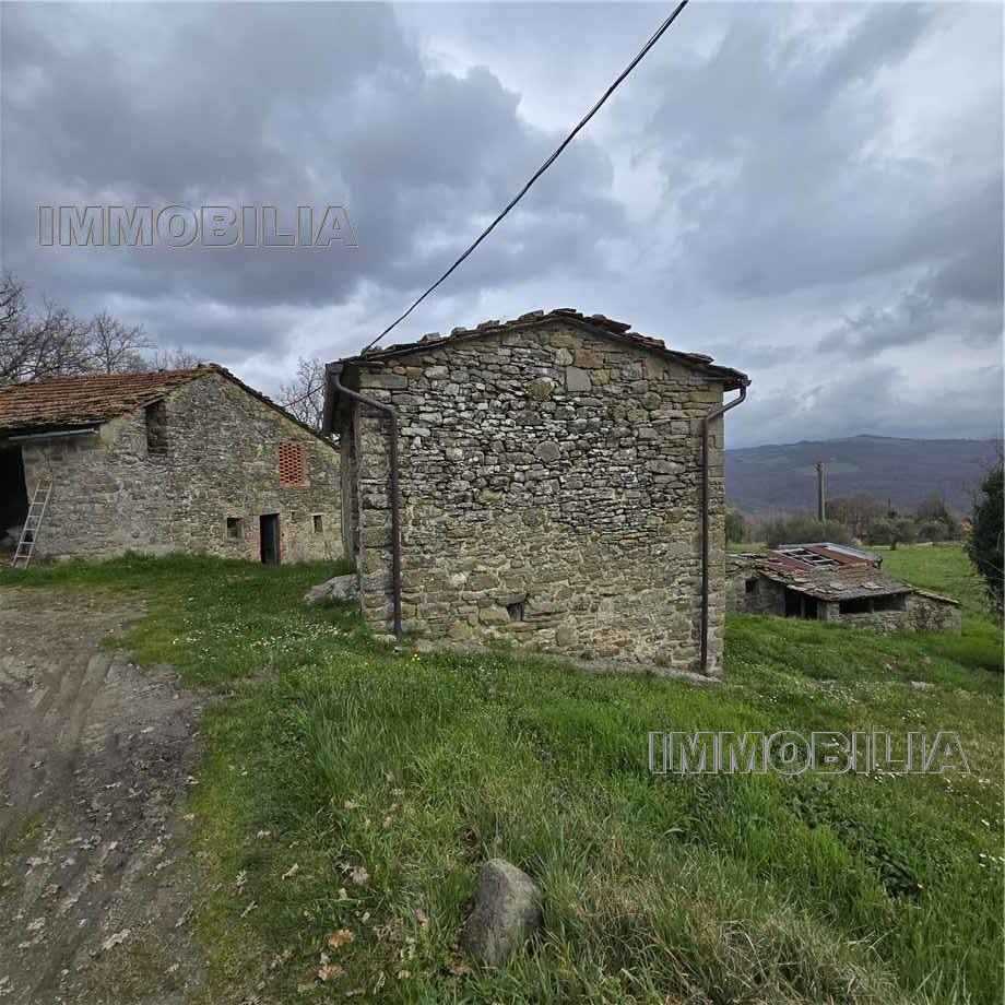  - foto 33