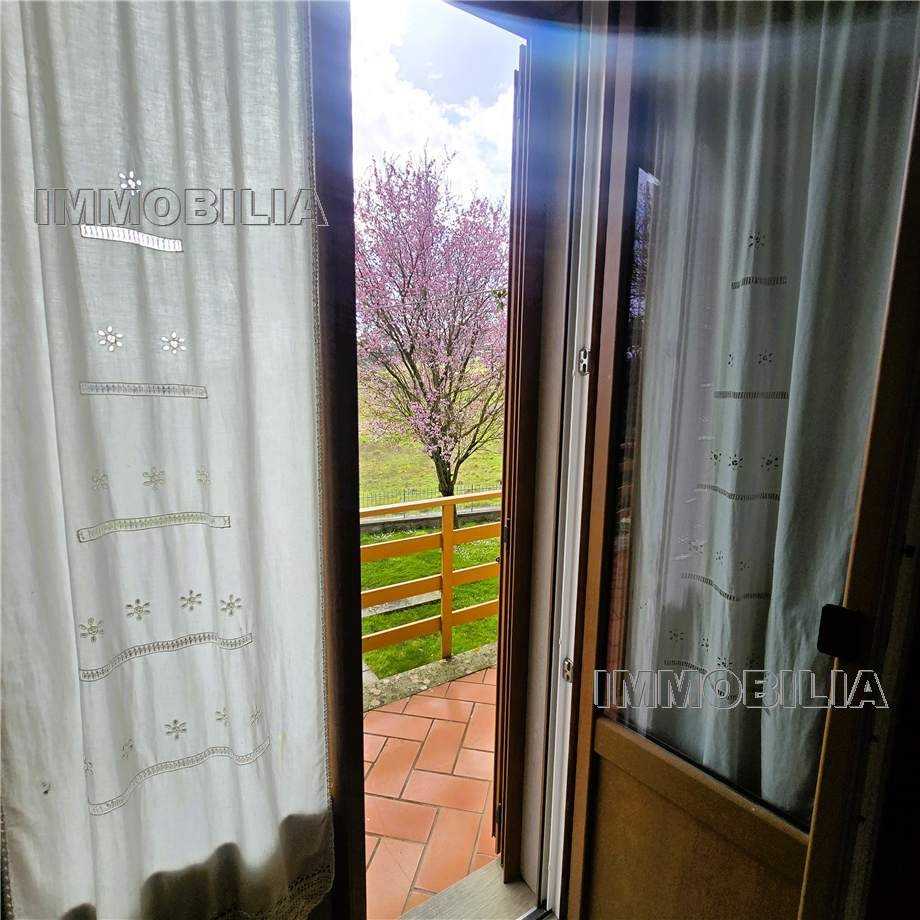  - foto 39