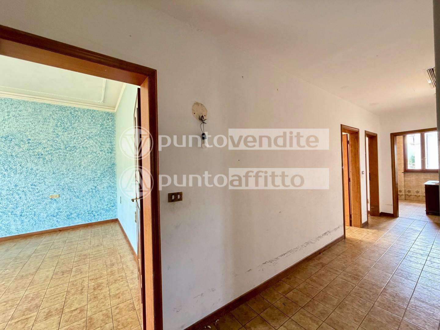  - foto 11