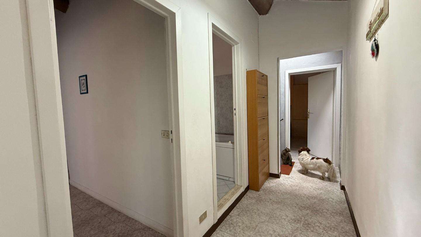  - foto 21