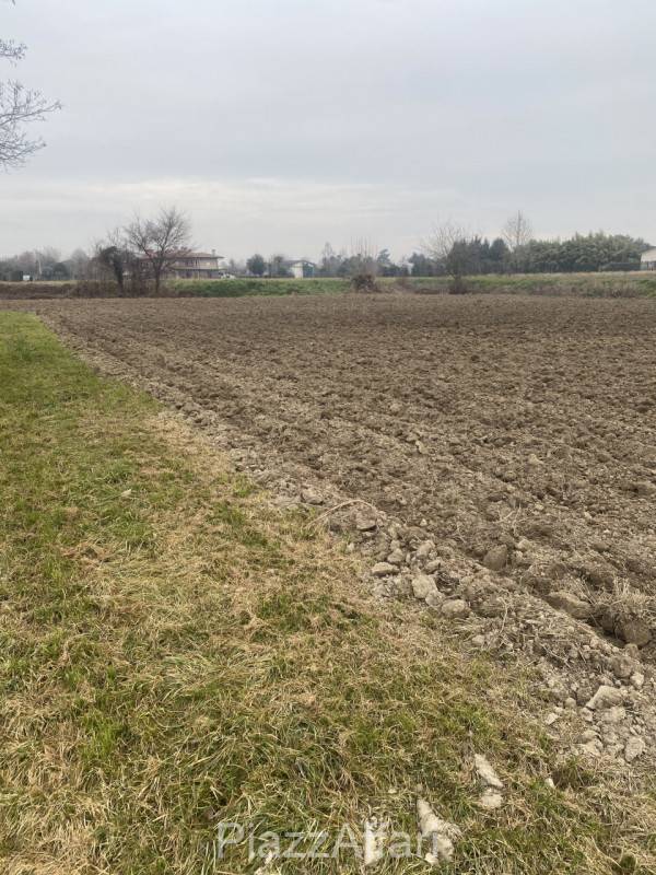Terreno agricolo, Sant'Angelo di Piove di Sacco