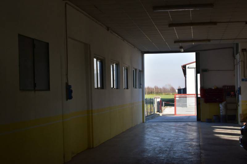 Magazzino - Deposito Bovolenta, Bovolenta