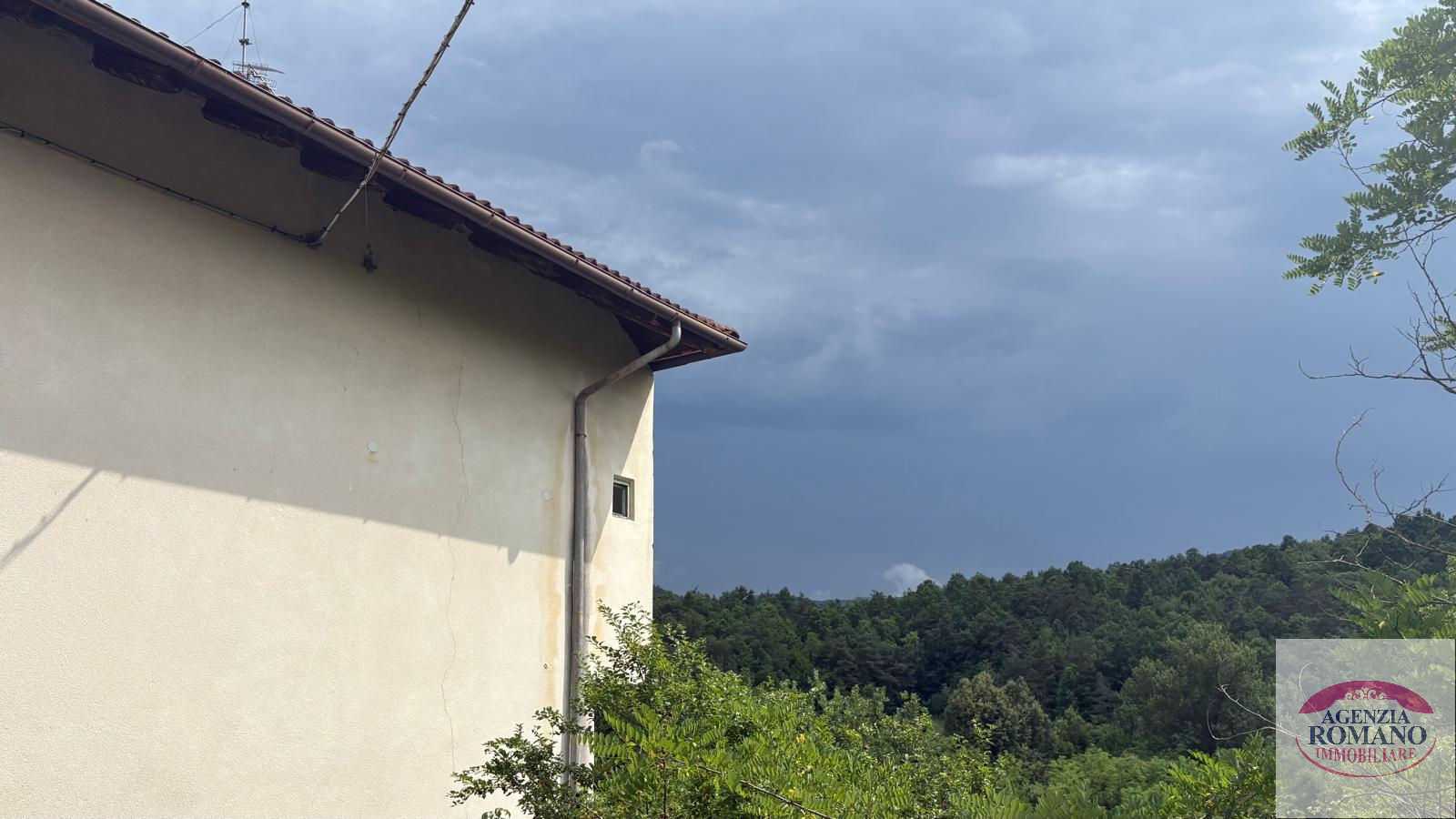  - foto 11