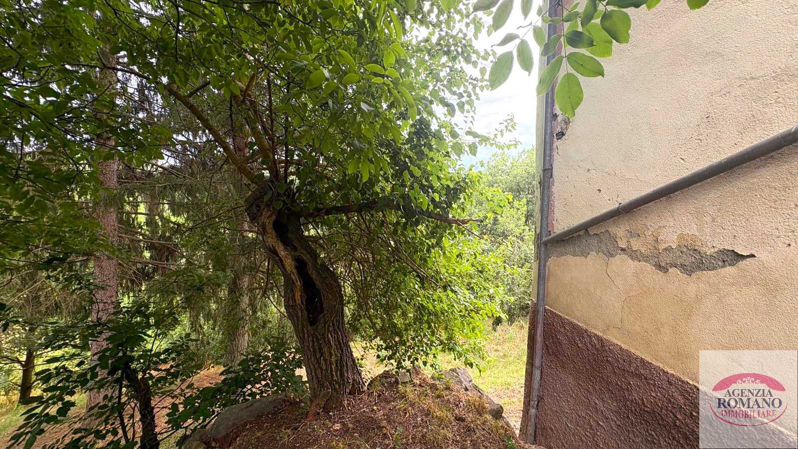  - foto 58