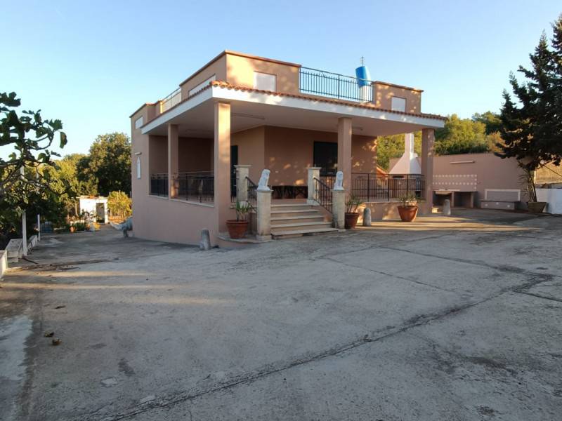  - foto 5