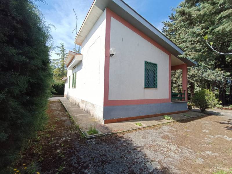  - foto 10
