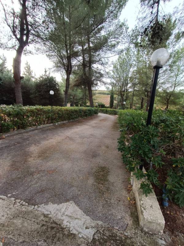  - foto 3