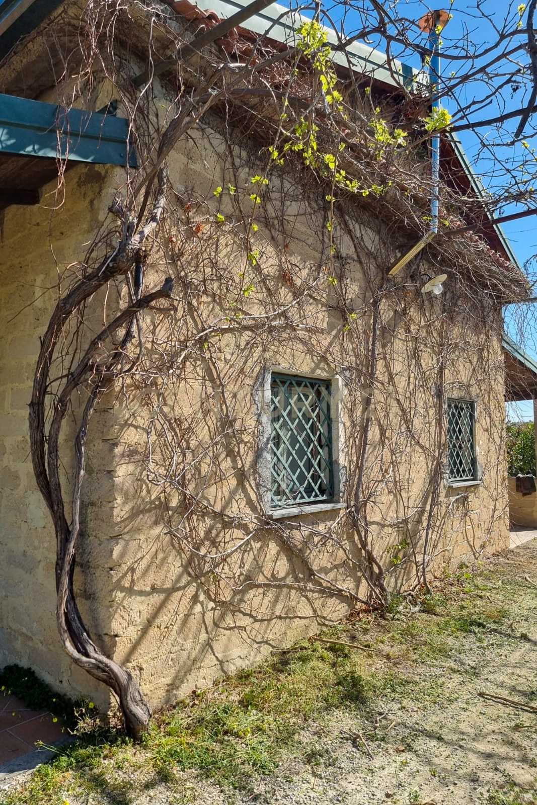  - foto 11