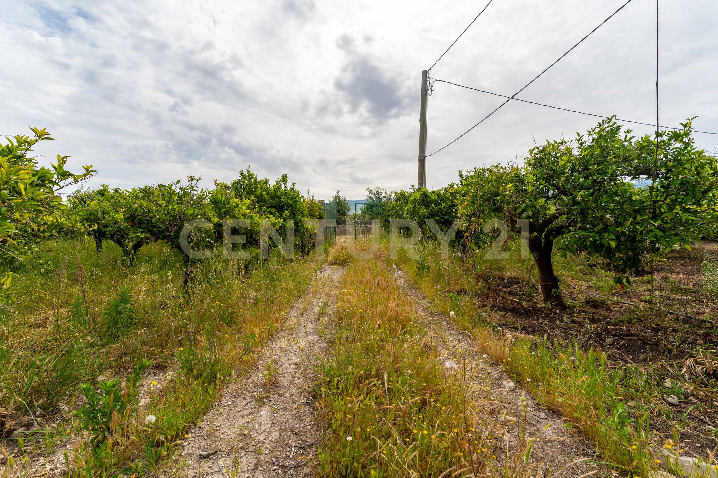  - foto 20