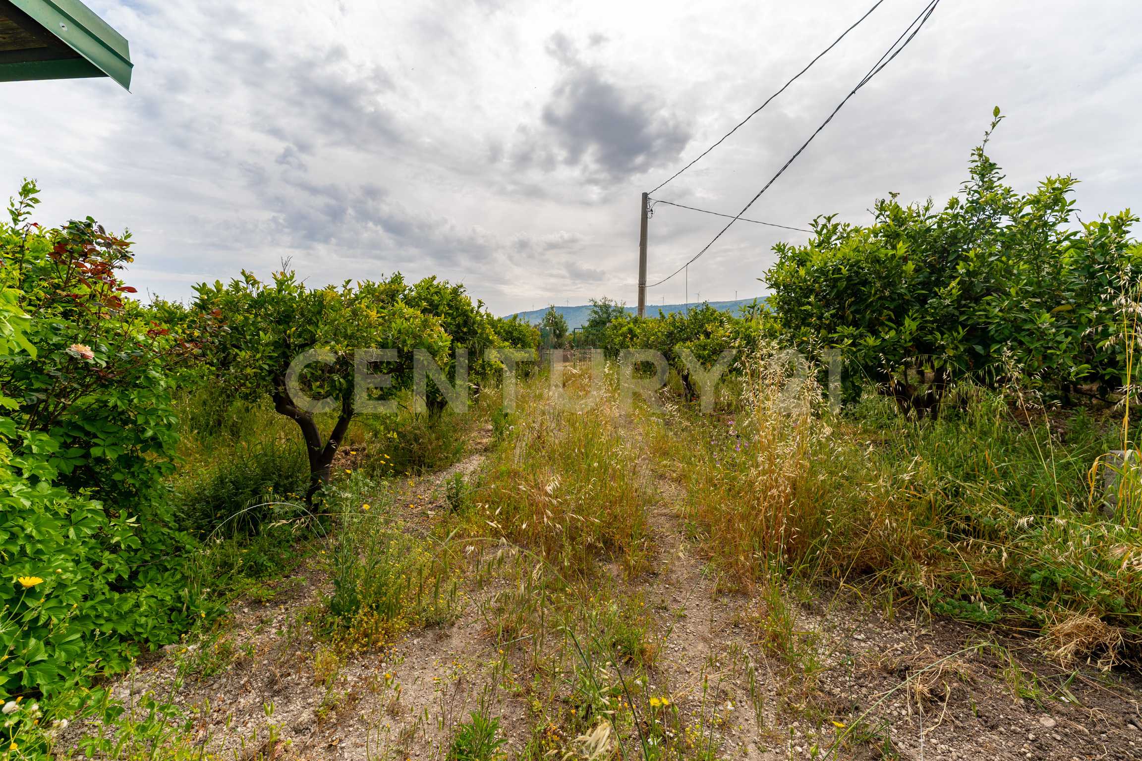  - foto 22