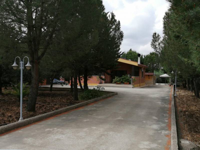  - foto 2