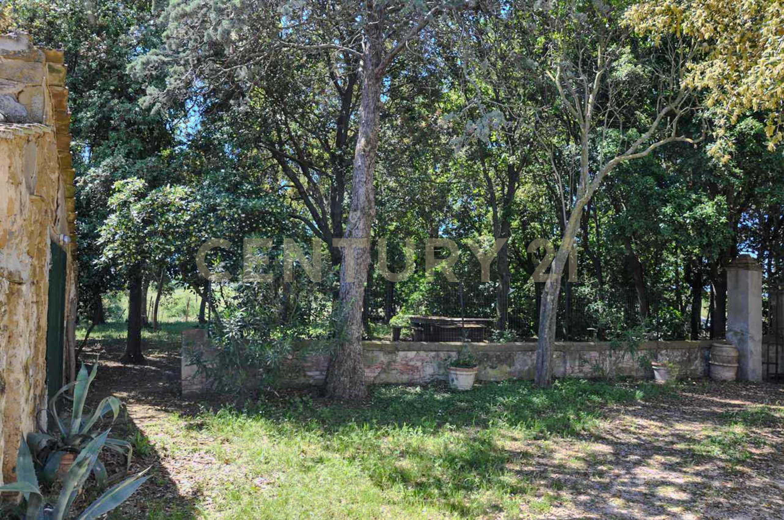  - foto 15