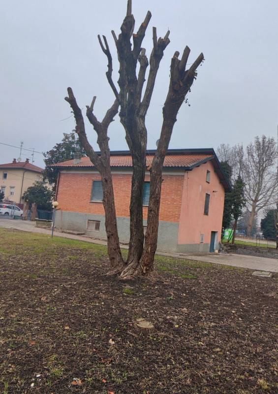  - foto 10