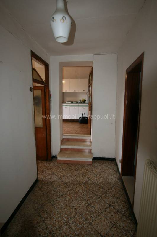  - foto 5