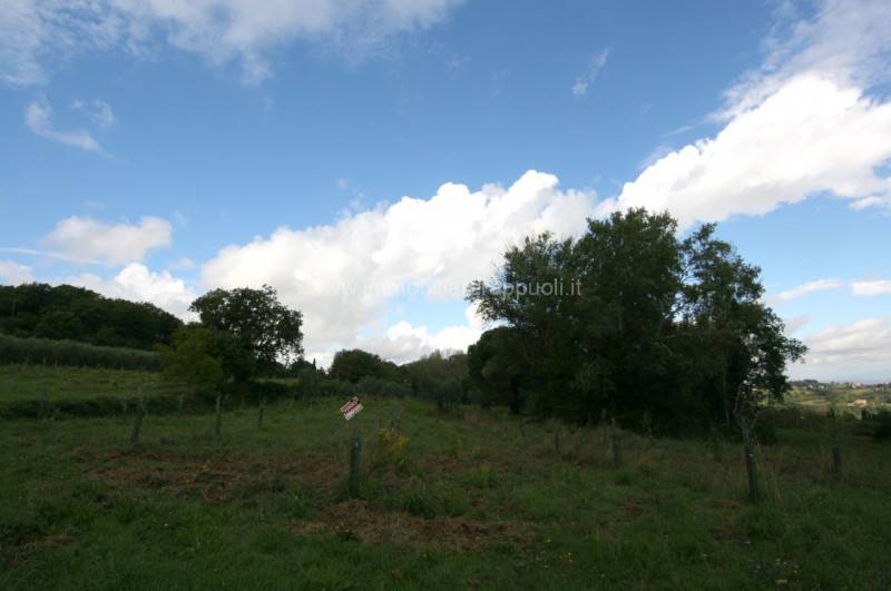  - foto 10