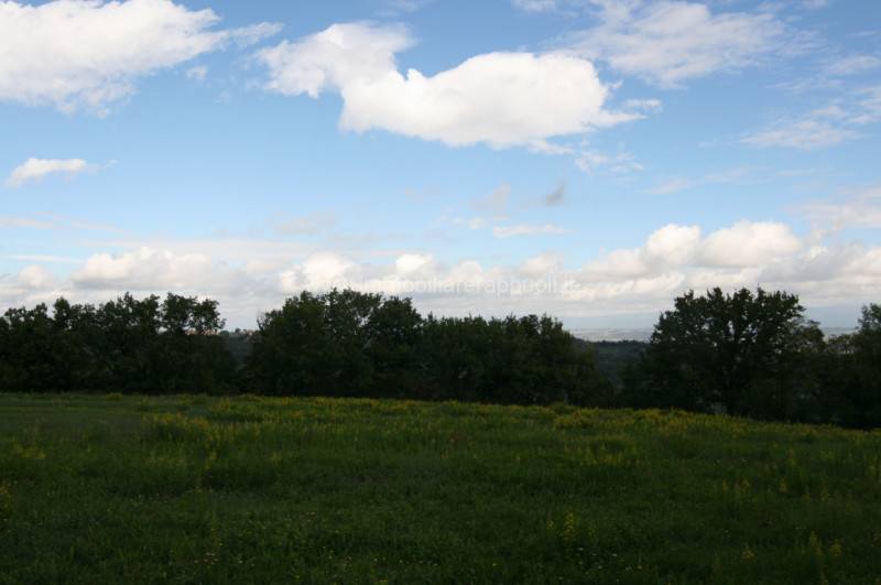  - foto 7