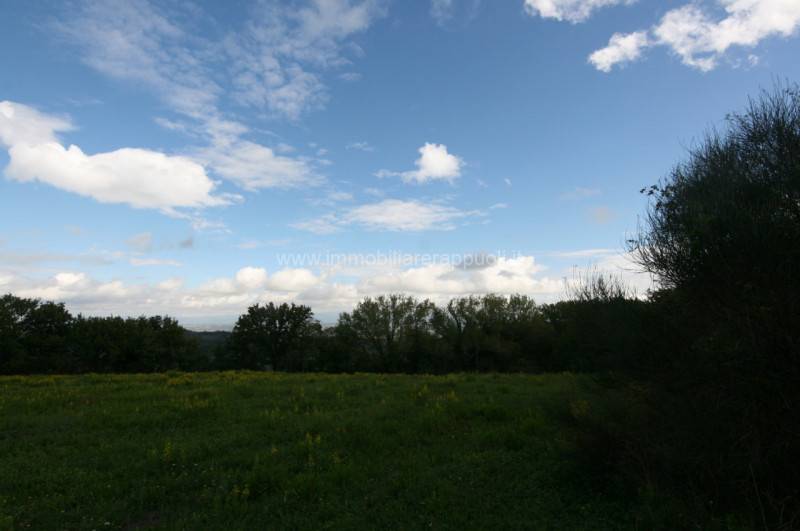  - foto 8