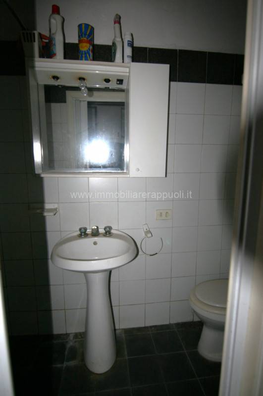  - foto 2