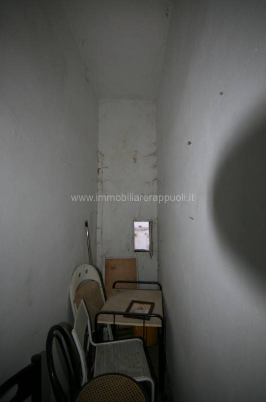  - foto 8