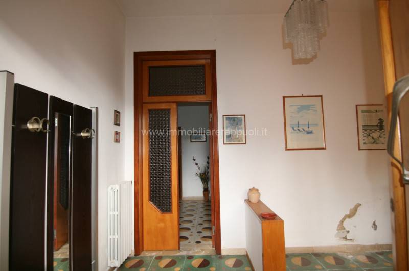  - foto 9