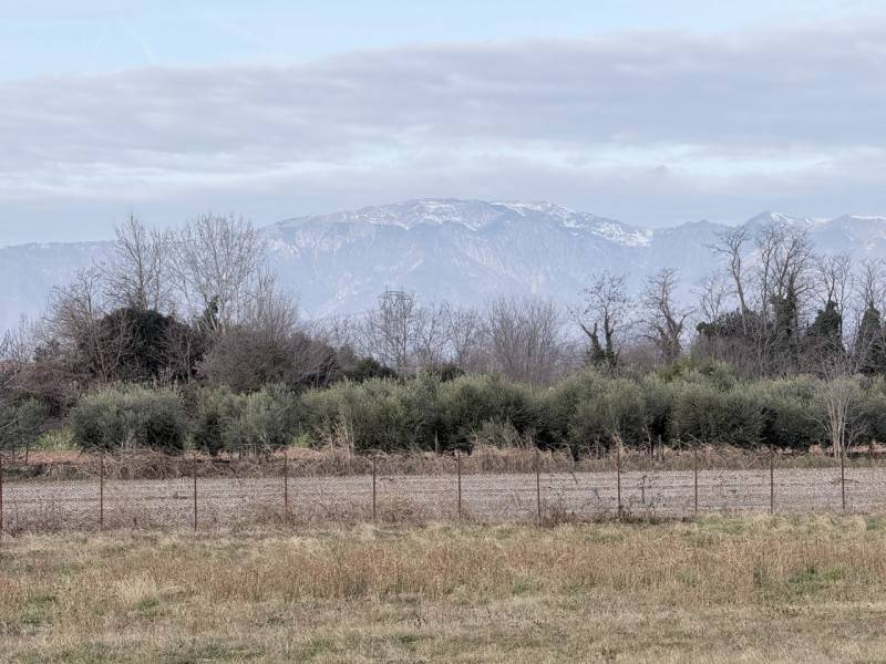 Altro Sant 'Andrea, Montebelluna