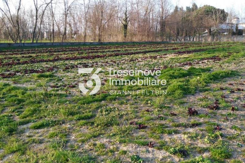 Terreno agricolo Castagnole, Paese