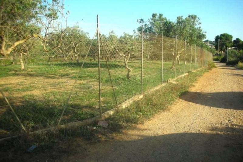 Altro, Marsala
