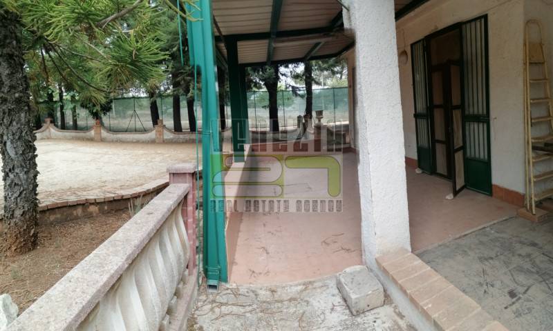  - foto 3