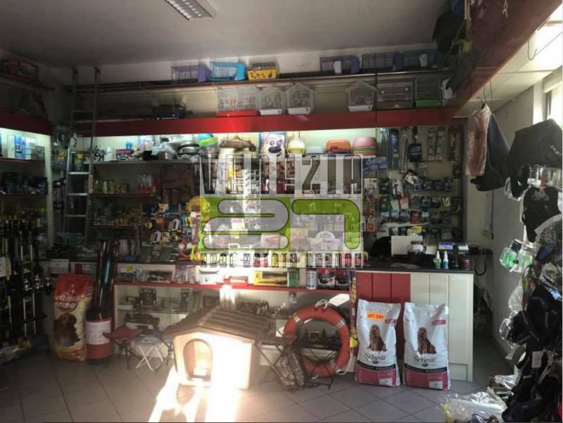  - foto 2