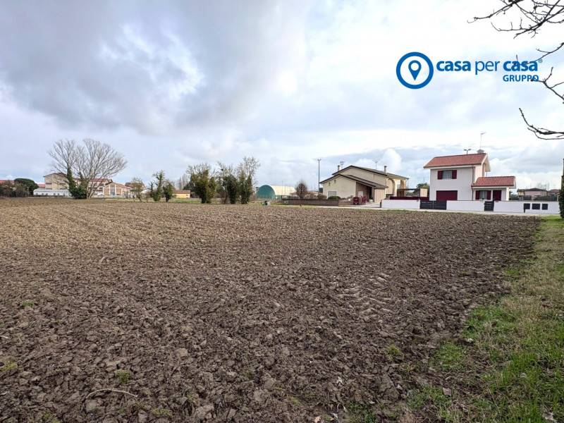 Altro Arquà Polesine, Arquà Polesine