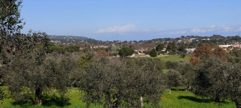  - foto 3