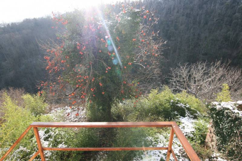  - foto 3