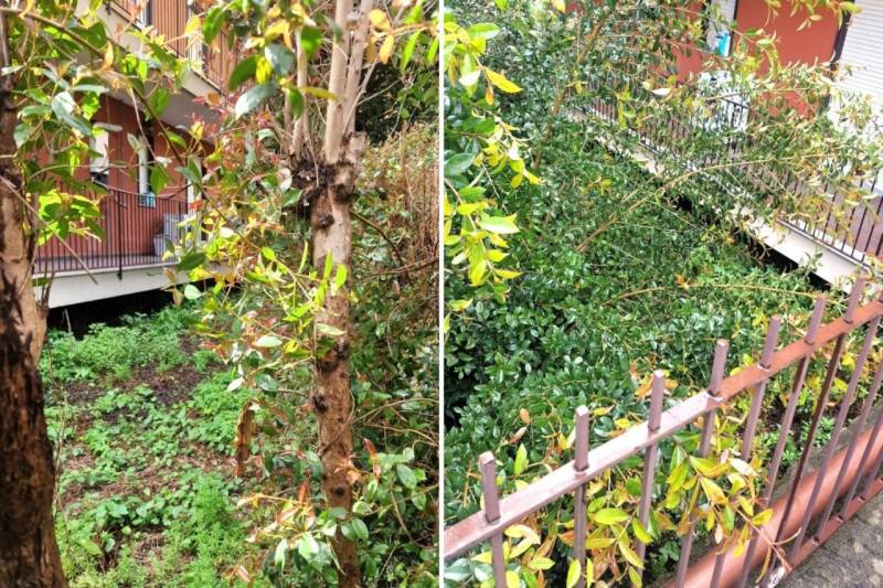 Altro, Giarre