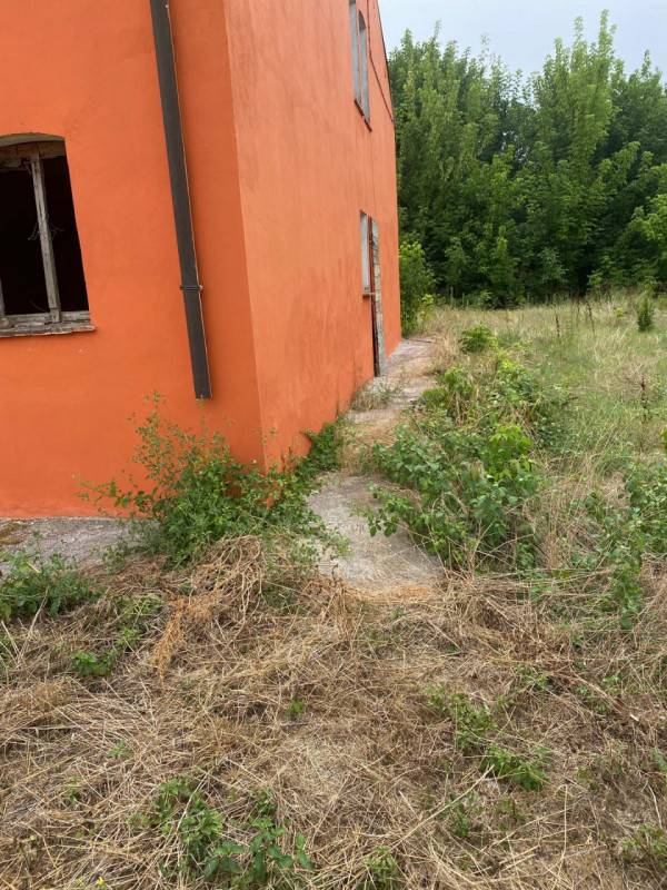  - foto 6
