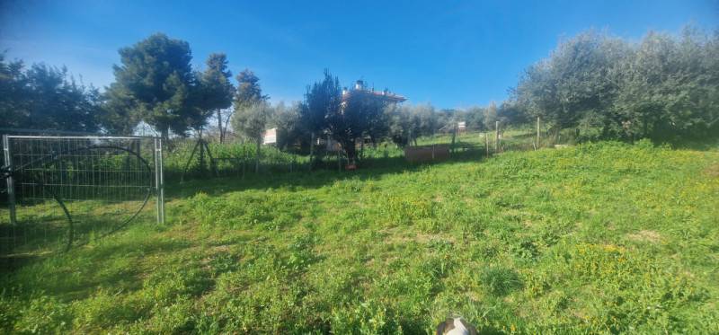 - foto 3