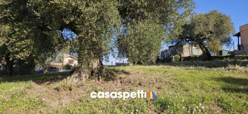 Terreno agricolo Monterotondo, Monterotondo