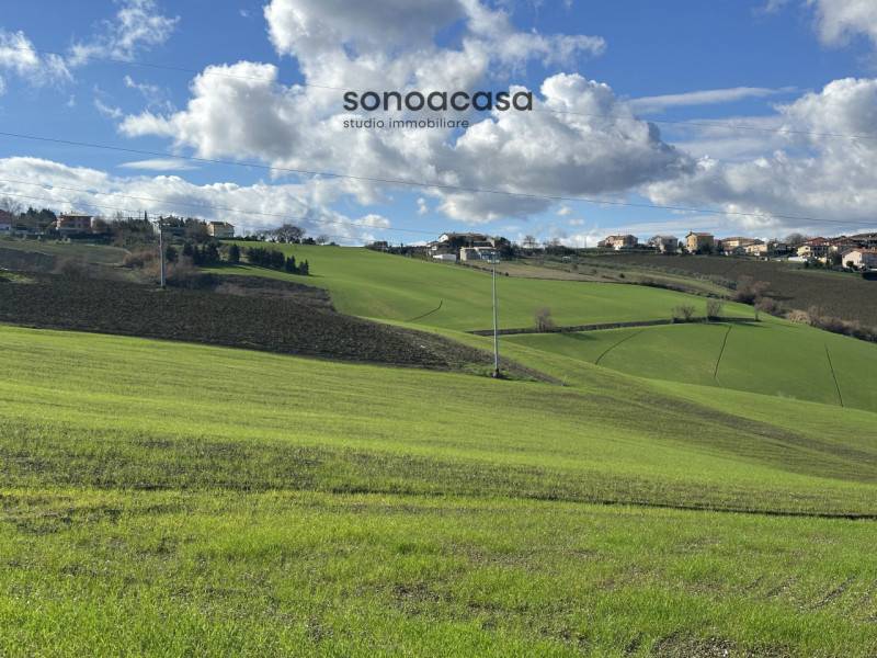 Terreno agricolo San Costanzo, San Costanzo