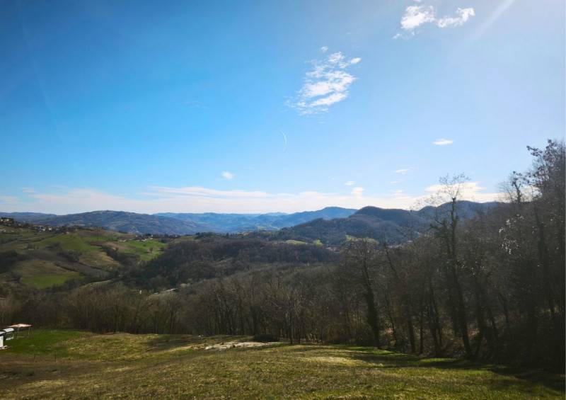 Altro Lupazzano, Neviano degli Arduini