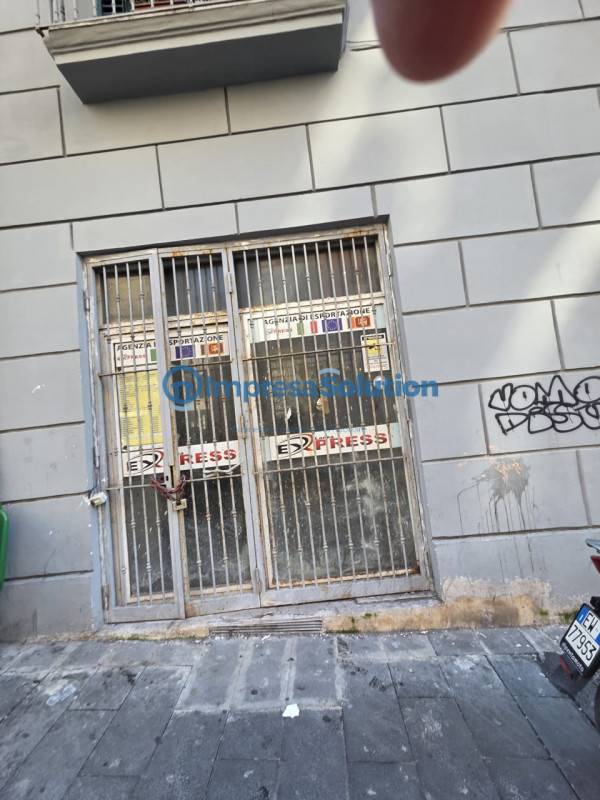  - foto 4