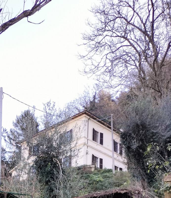  - foto 5