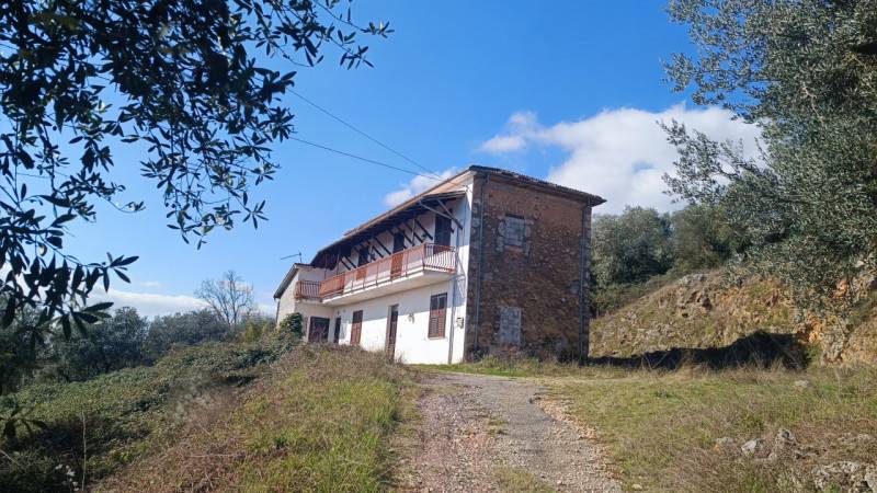  - foto 2