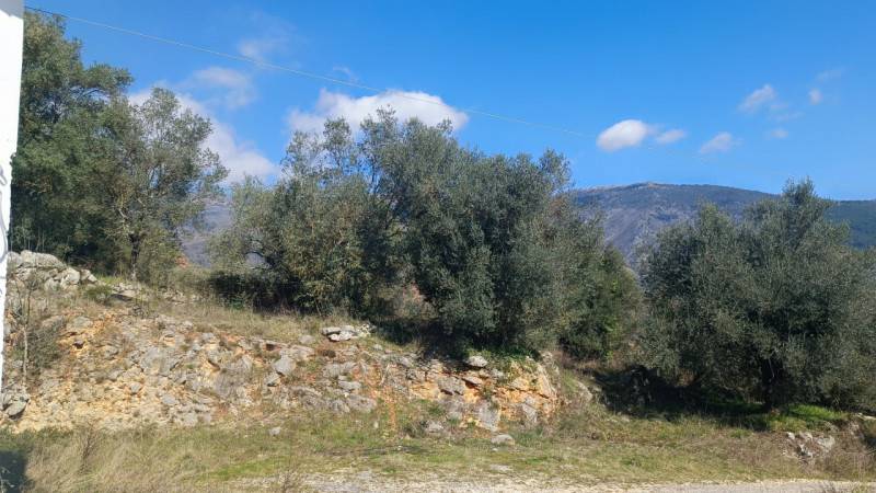  - foto 3