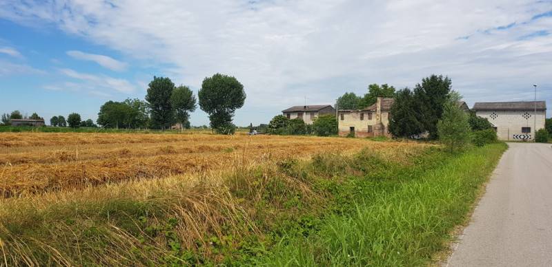 Rustico Saletto, Borgo Veneto