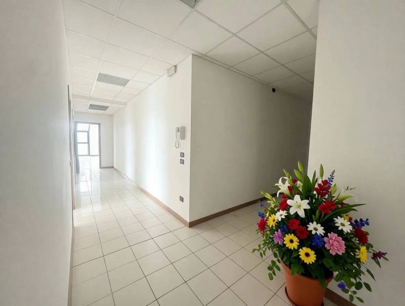  - foto 4
