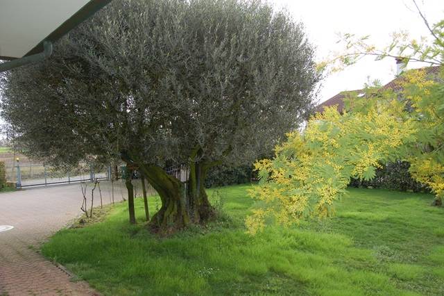  - foto 3