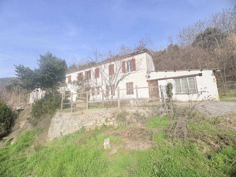 Rustico, Cinto Euganeo