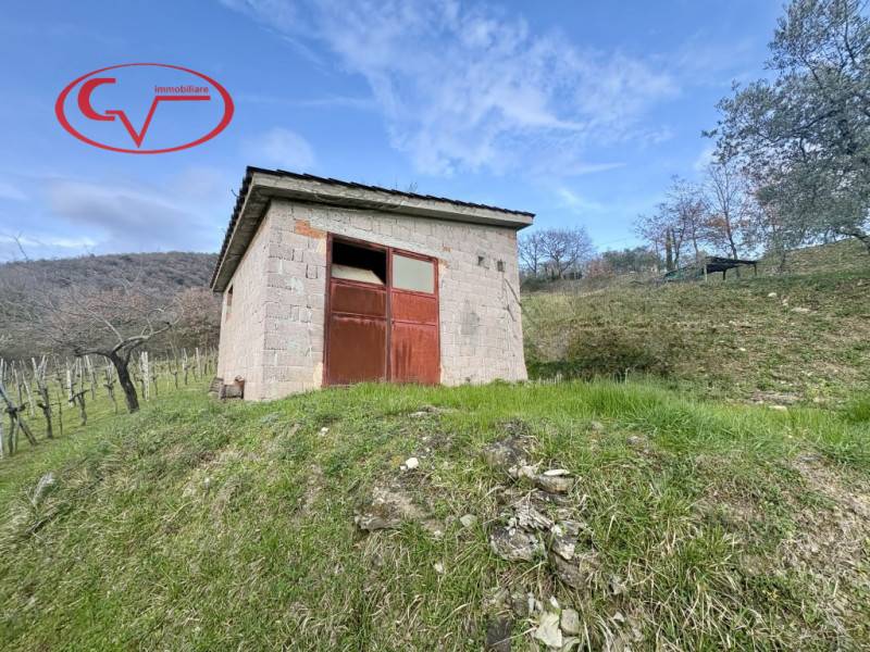  - foto 4