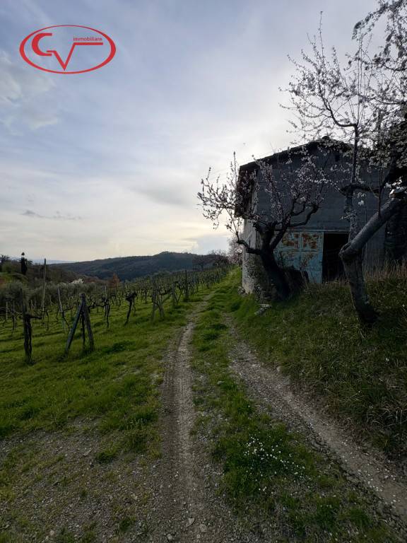  - foto 10