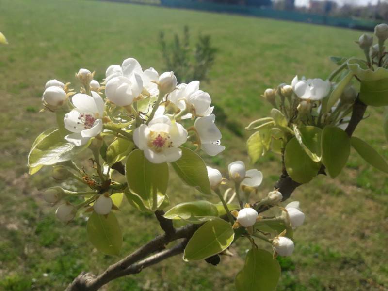  - foto 2